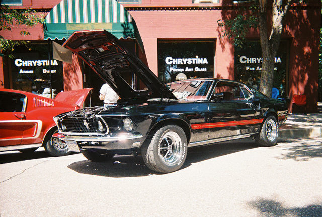 Mustangs....oh.....