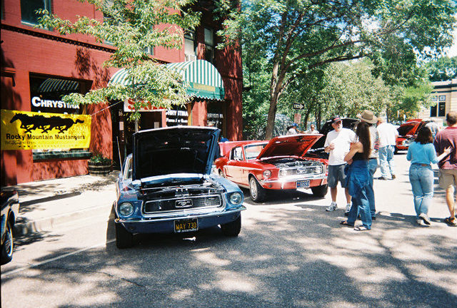 More mustangs....