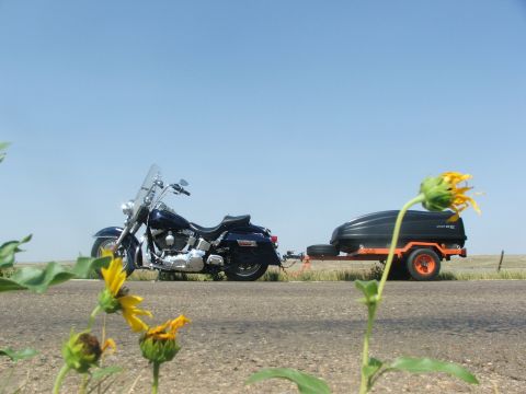 2000 Harley-Davidson Softail “Black Betty - Back In Black!!!”