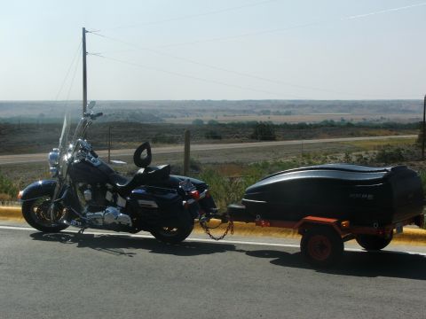 2000 Harley-Davidson Softail “Black Betty - Back In Black!!!”