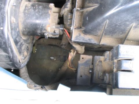 1990 Ford Bronco II - EEC Test Connector Cover