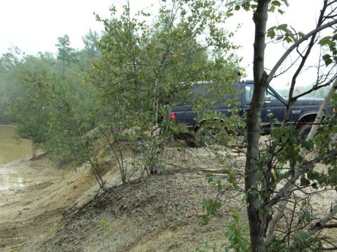 1995 Ford Bronco - A black pickup truck is partially visible behind trees and brush on a muddy, uneven terrain.