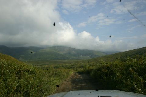 2003 Jeep TJ - View from inside a Jeep driving on a dirt road through a grassy landscape under a cloudy sky.
