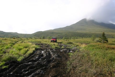 2003 Jeep TJ - Starts to get muddy at the beginning of the boggy area.