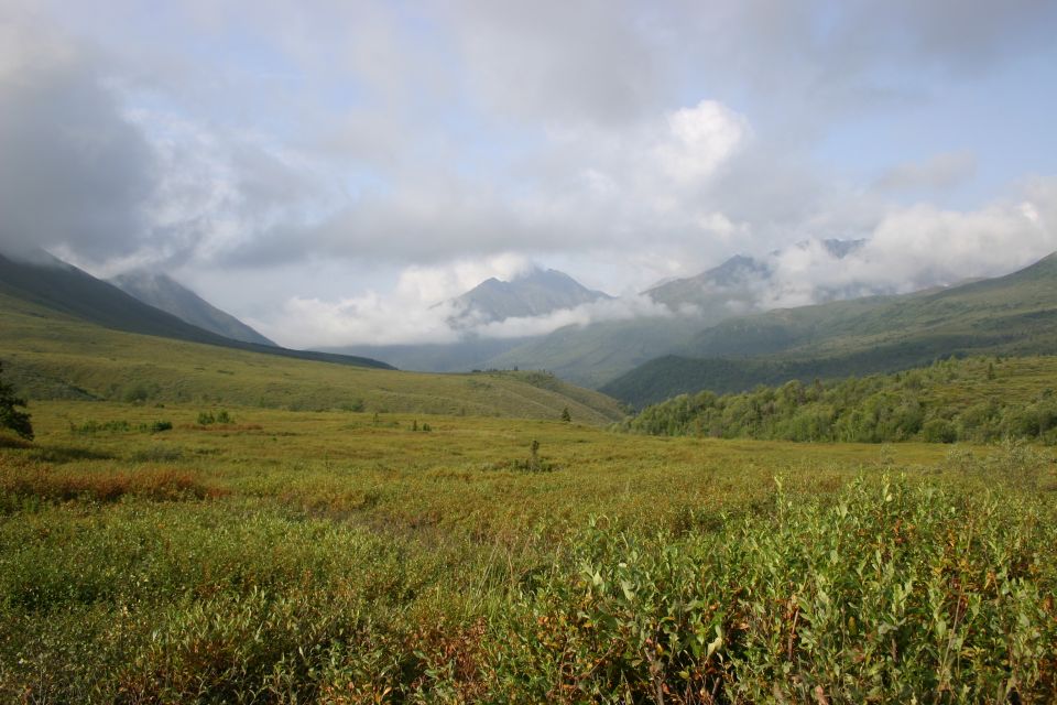 Mountain landscape with clouds and green fields