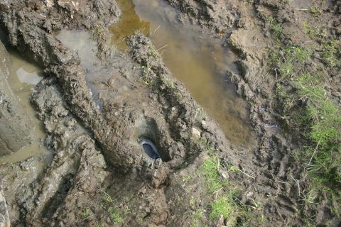 2003 Jeep TJ - Shoe without an owner.