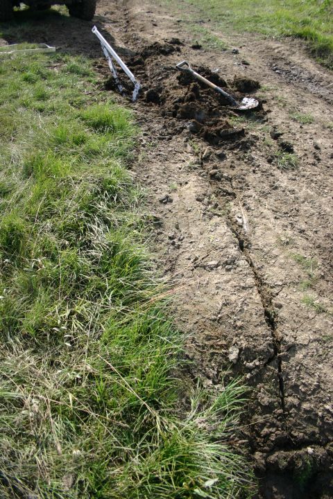 2003 Jeep TJ - Tire tracks are visible in the dirt, with grass growing alongside the path.