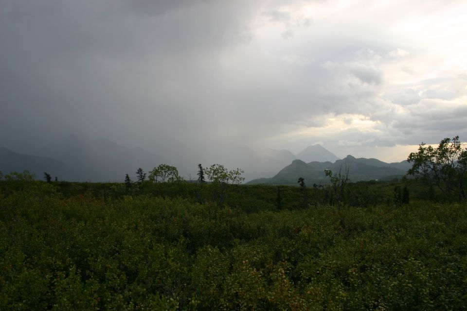 Overcast sky with rain falling over mountains and a field of green brush