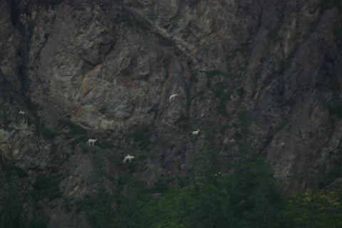 2003 Jeep TJ - Zoomed all the way in (300MM). Taken from the same spot as previous pic.