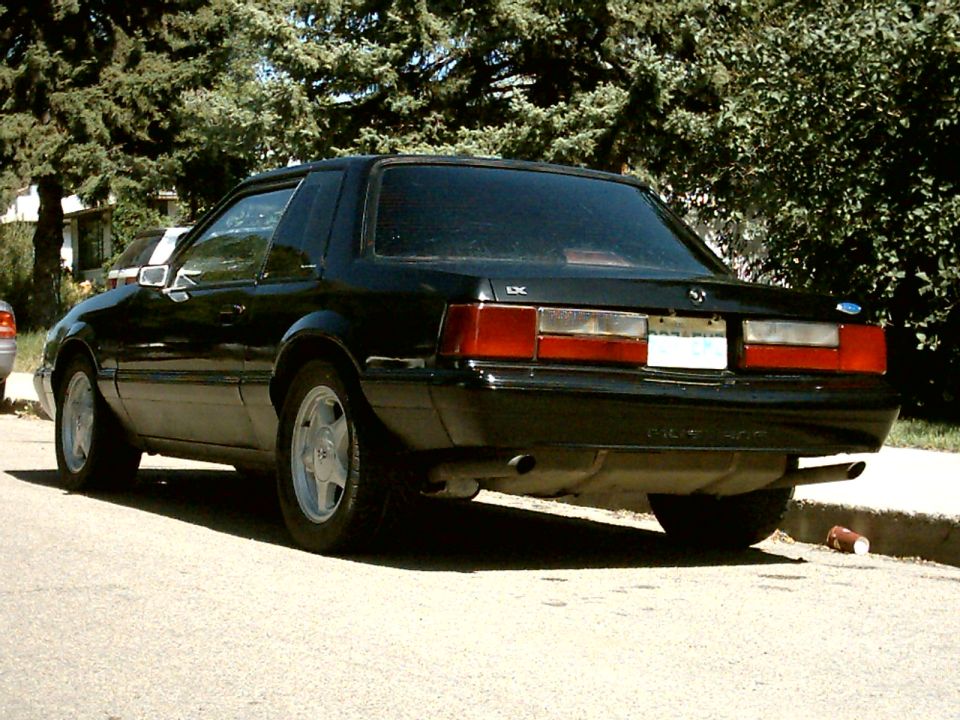 Black Fox-body Ford Mustang LX coupe rear three-quarter parked at a curb in front of evergreens