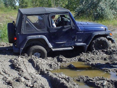 1981 Ford Bronco - Stuck heep during clean up. We all had some fun!!