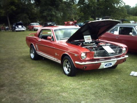 1995 Ford Probe - A red 1965 Ford Mustang coupe is displayed with its hood open, parked on grass alongside other vehicles.