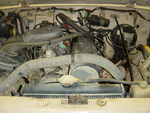 engine bay with hoses, wires, and radiator visible