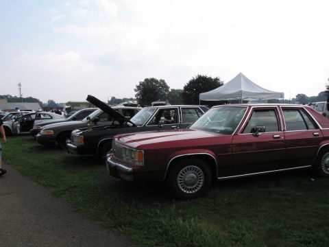 1991 Ford LTD Crown Victoria - row of full-size sedans parked on grass at an outdoor car show, with a maroon Ford in the foreground and a white tent behind.