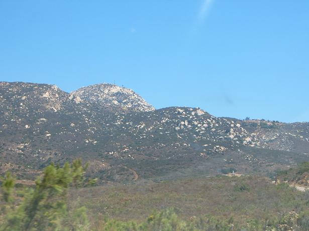 rock piles with green