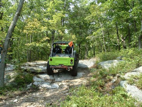 1995 Ford Bronco - A bright green Jeep navigates a rocky path through a dense forest.
