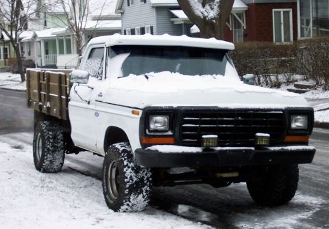 1979 Ford F-150 - 8