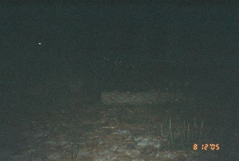 1990 Ford Bronco - dim nighttime flash photo shows a log lying on dirt amid sparse grass, mostly dark, dated August 12, 2005.