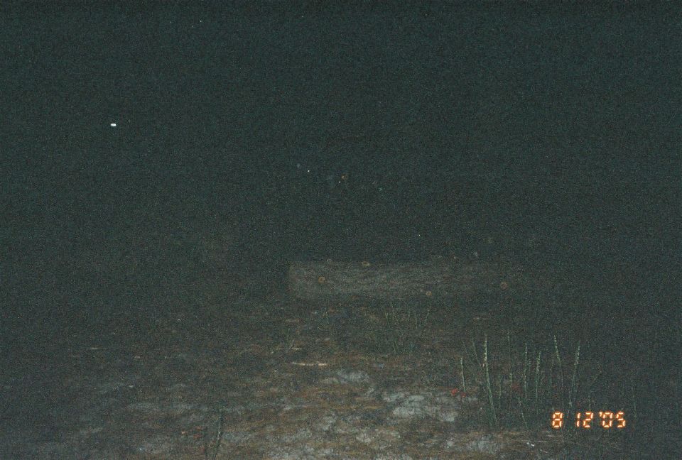 Very dark nighttime photo of a log on the ground, dated 8/12/05
