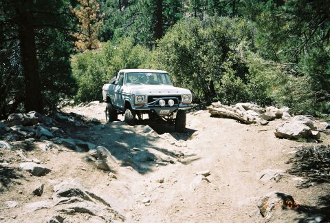 1990 Ford Bronco - lifted vintage pickup fitted with a brush guard crawls up a rocky dirt trail through pine forest.