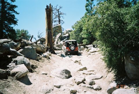 1990 Ford Bronco - small red off-road vehicle navigates a boulder-strewn forest trail beside a tall dead tree snag.