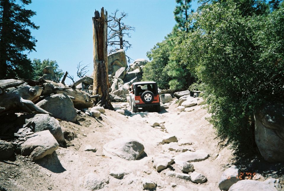 Small red off-road vehicle on a rocky trail beside a dead tree snag in the forest