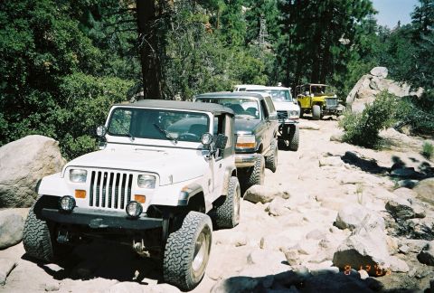 1990 Ford Bronco - white Jeep Wrangler leads a line of lifted trucks, including a yellow vehicle, down a rocky forest trail.