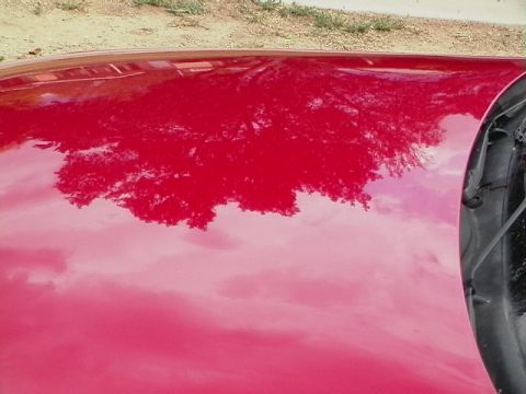 1992 Ford Taurus - Hood AFTER