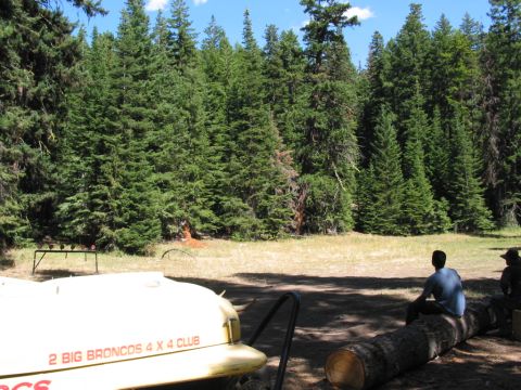1982 Ford Customline - Huntercamp, clearing about football field size, mostly covered in green grass.
