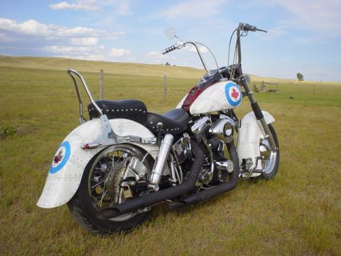 1988 Harley-Davidson FLHS photo