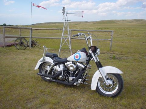 1988 Harley-Davidson FLHS photo