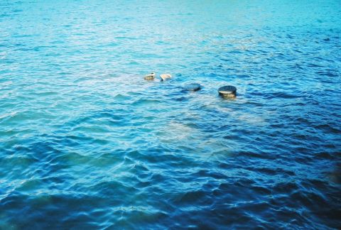 2000 Ford F-450 - Clear turquoise harbor water with a few rusted, barnacle-crusted structures, gun turret bases and mooring quays, breaking the surface, the…