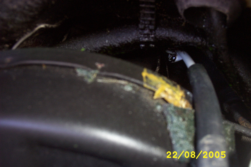 close-up of a black automotive cable with a blue connector, attached to a black housing with some yellow and green residue