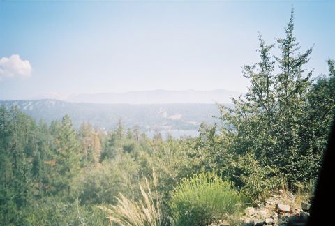 1990 Ford Bronco - hazy view across pine-covered hills toward distant mountains and a lake, framed by evergreen branches in the foreground.