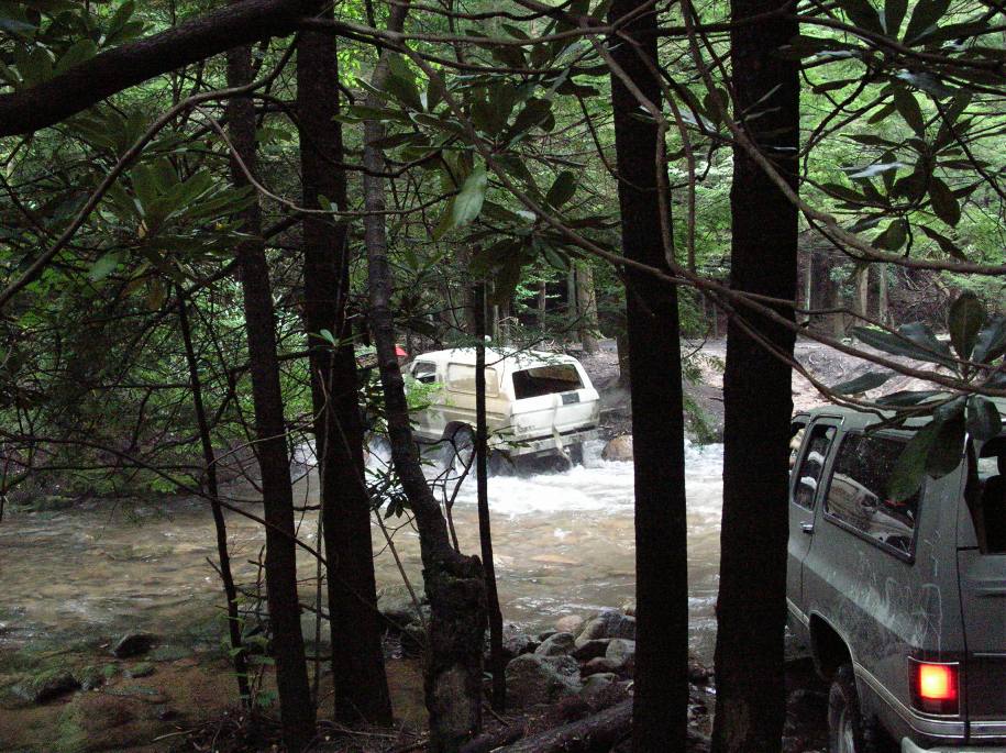 White van driving through a stream, partially obscured by trees