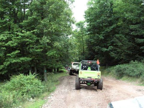 1995 Ford Bronco - Several off-road vehicles drive down a dirt path surrounded by dense trees.