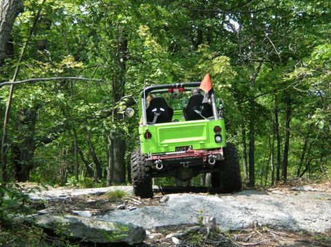 1995 Ford Bronco - An off-road vehicle drives down a dirt path surrounded by lush green foliage.