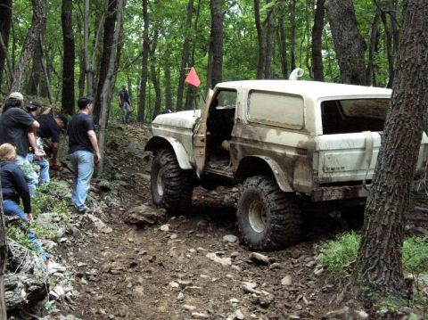 1995 Ford Bronco - A white 1995 Ford Bronco navigates a wooded trail, demonstrating its off-road capabilities.