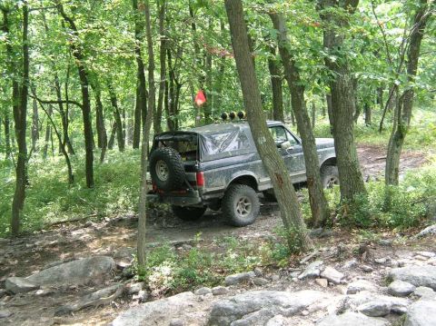 1995 Ford Bronco - A gray Ford Bronco is parked off-road in a forest, its rear cargo door open.