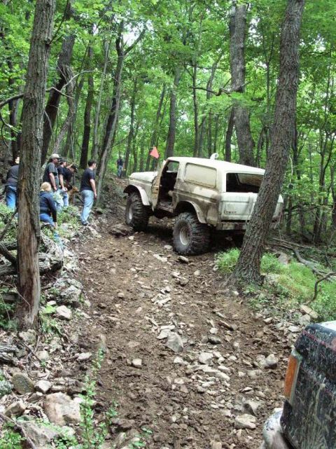 1995 Ford Bronco - A white SUV navigates a rough, wooded trail. The vehicle appears to be off-road, with trees and foliage surrounding the path.