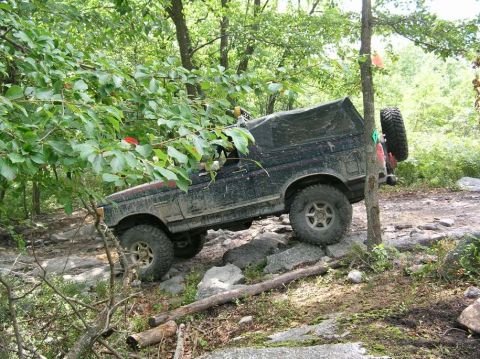 1995 Ford Bronco - Off-road vehicle navigating a wooded trail.