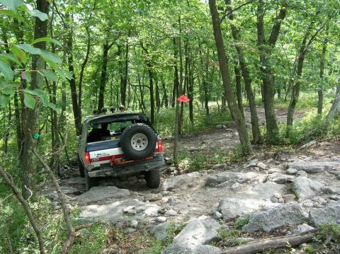 1995 Ford Bronco - A vehicle navigates a challenging off-road path through a dense forest.