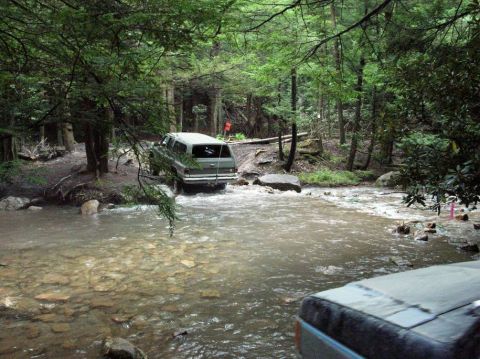 1995 Ford Bronco - An SUV navigates a rocky stream bed surrounded by dense forest foliage.