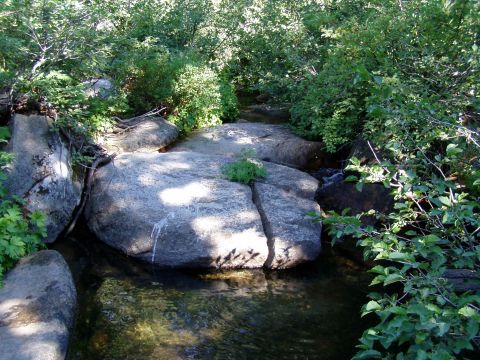 1967 Ford Bronco - A natural scene of a creek bed with large rocks and surrounding trees, a website watermark.