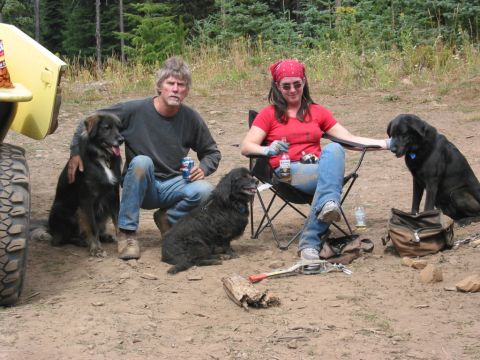 1982 Ford Customline - hip laura and dogs