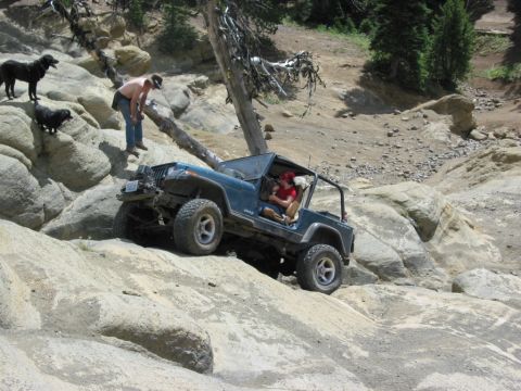 1982 Ford Customline - Fawk you i wount do what you tell me...