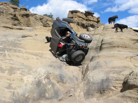 1982 Ford Customline - An off-road vehicle has overturned while navigating a steep, rocky incline, with two dogs observing the scene from above.