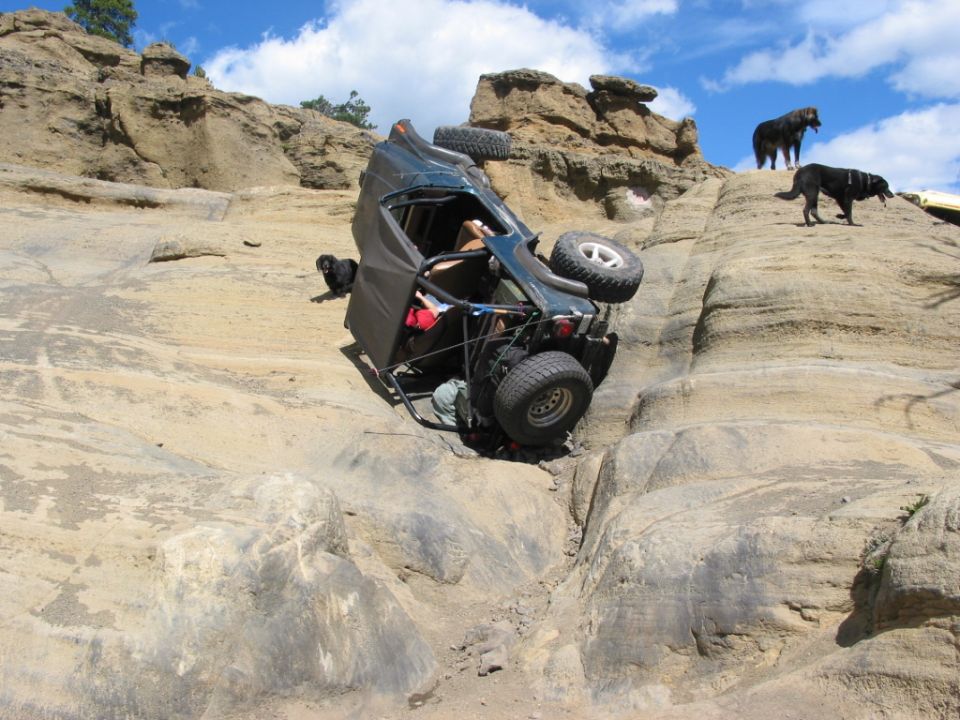 Dark green Jeep rolled on its side in a sandstone gully with two dogs watching from above