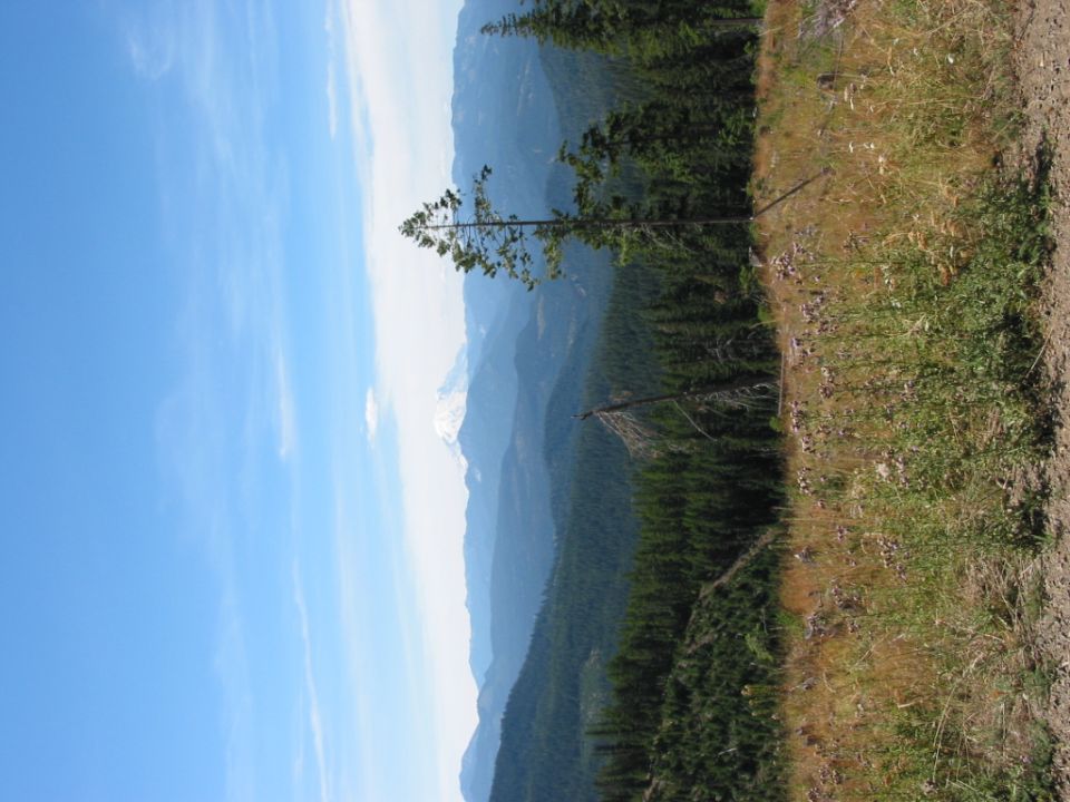 Rotated landscape photo of forested ridges and distant snowy peak from a trail edge