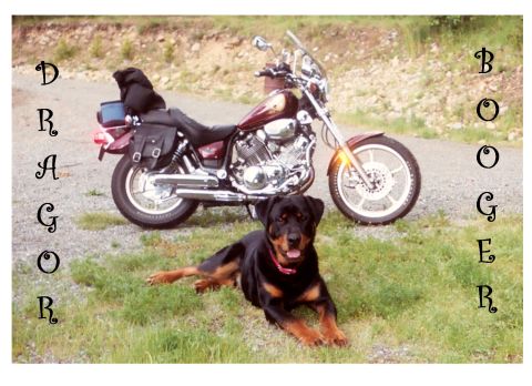 1992 Yamaha Virago “Dragor”